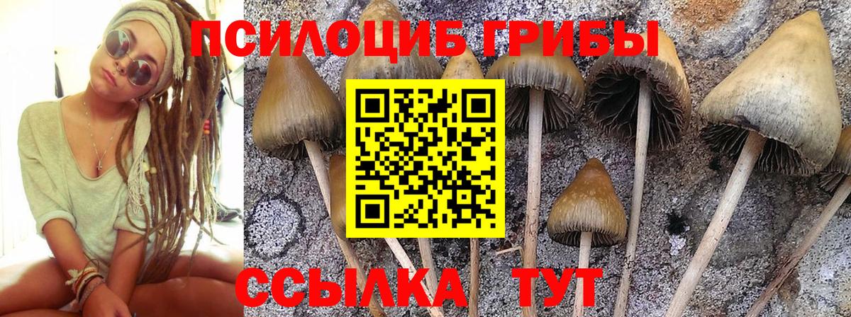 Псилоцибиновые грибы Cubensis  Галлюциногенные грибы Psilocybe  Вход с VPN  Скопин 
