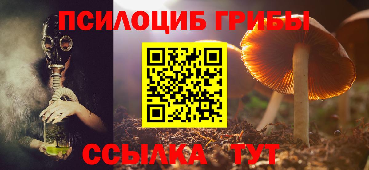 Галлюциногенные грибы GOLDEN TEACHER Скопин